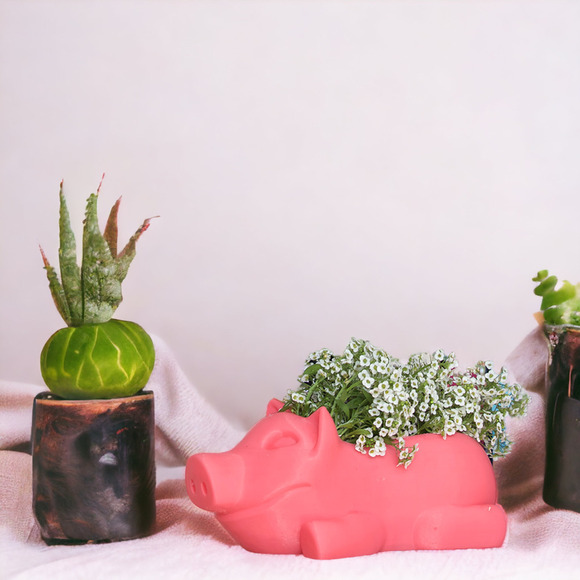 Pig Planter Plant Pot Planter Succulent Cactus Pig Shape Flower Pot for Garden - Picture 1 of 4